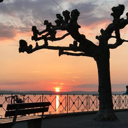 Zwovier Meersburg Bagian luar foto